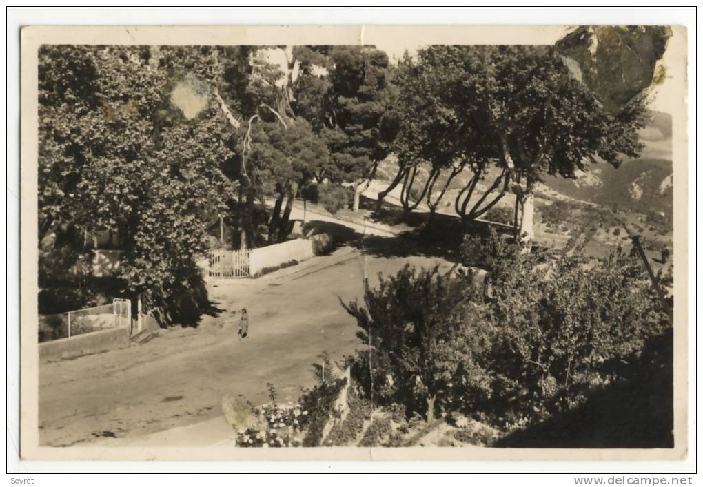 MILIANA  -un  coin du boulevard Esplanade , la promenade des blageurs.