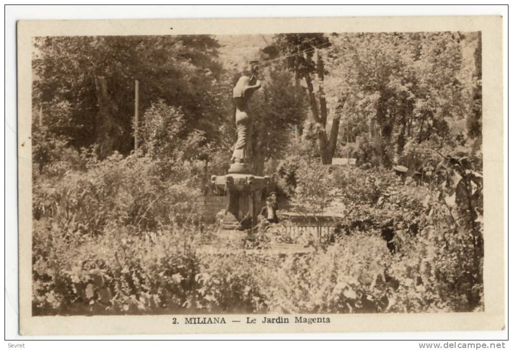MILIANA  - Le jardin Magenta.