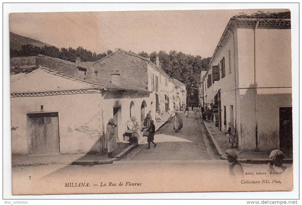 Miliana, la rue de Fleurus, éd. Azizi, collections ND, n° 7, Algérie