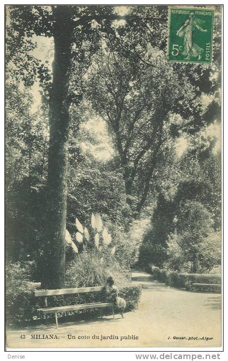 France  Type Semeuse  oblitéré Miliana Algérie  sur CP