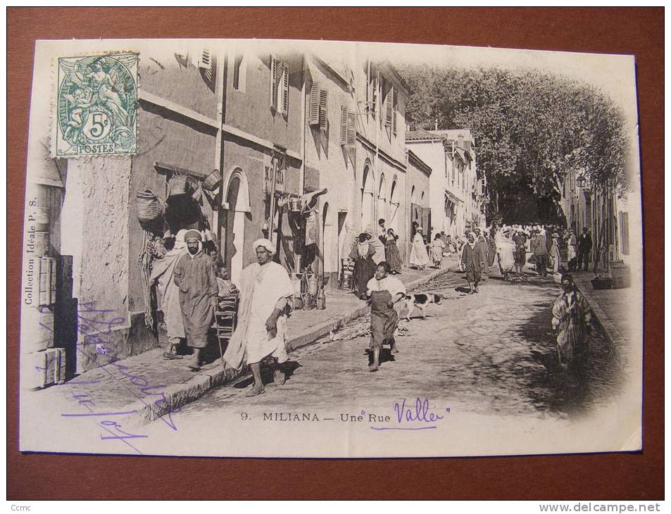 CPA - Algérie - Miliana - Une rue  Rue Vallei (?) - Un pli