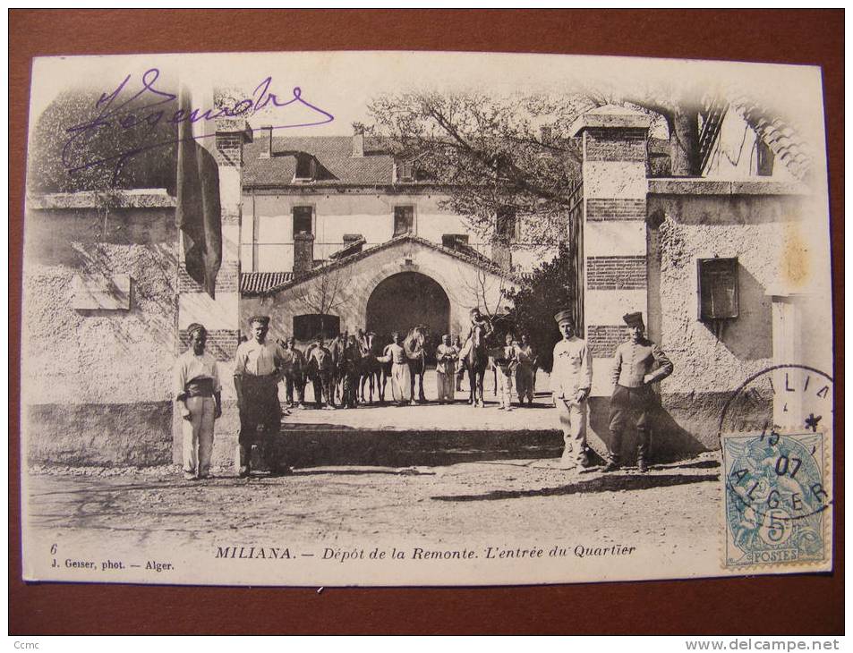 CPA - Algérie - Miliana - Le dépot de la remonte- l'entrée du quartier