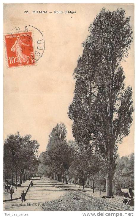 Miliana - Route d'Alger