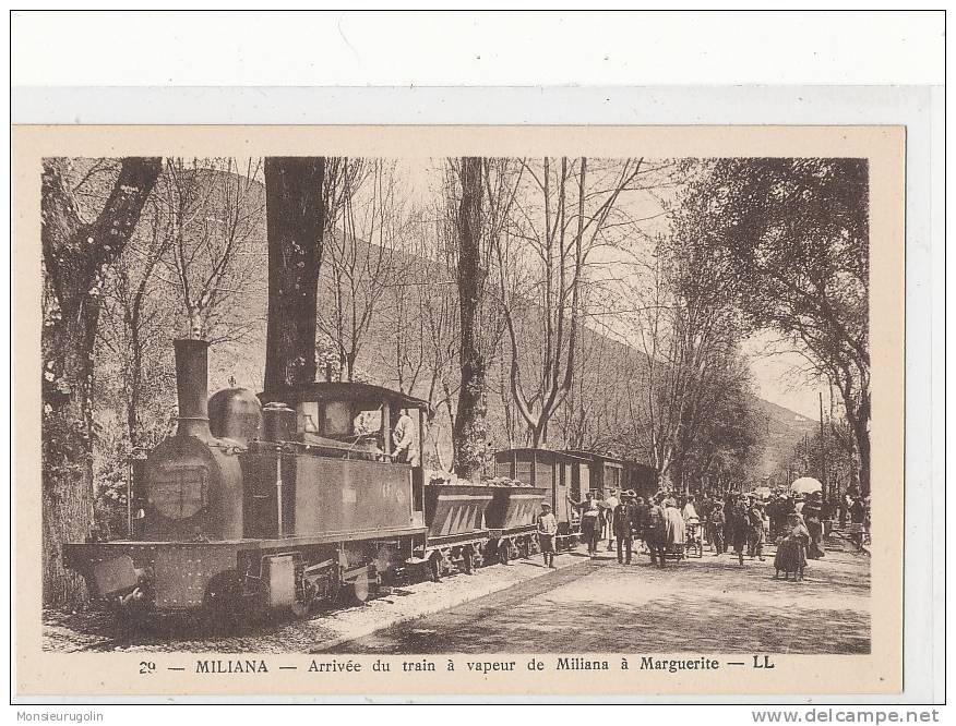 ALGERIE )) MILIANA   Arrivée du train à Vapeur de Miliana à Marguerite   LL 29   ANIMEE