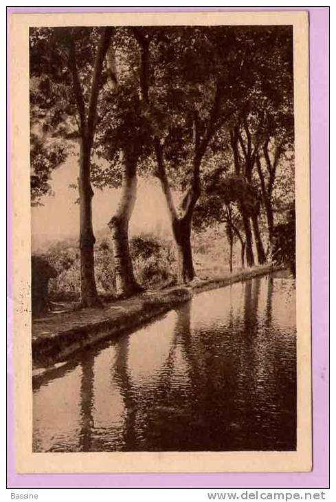 CPA/K106/ALGERIE MILIANA LES BELLES SOURCES