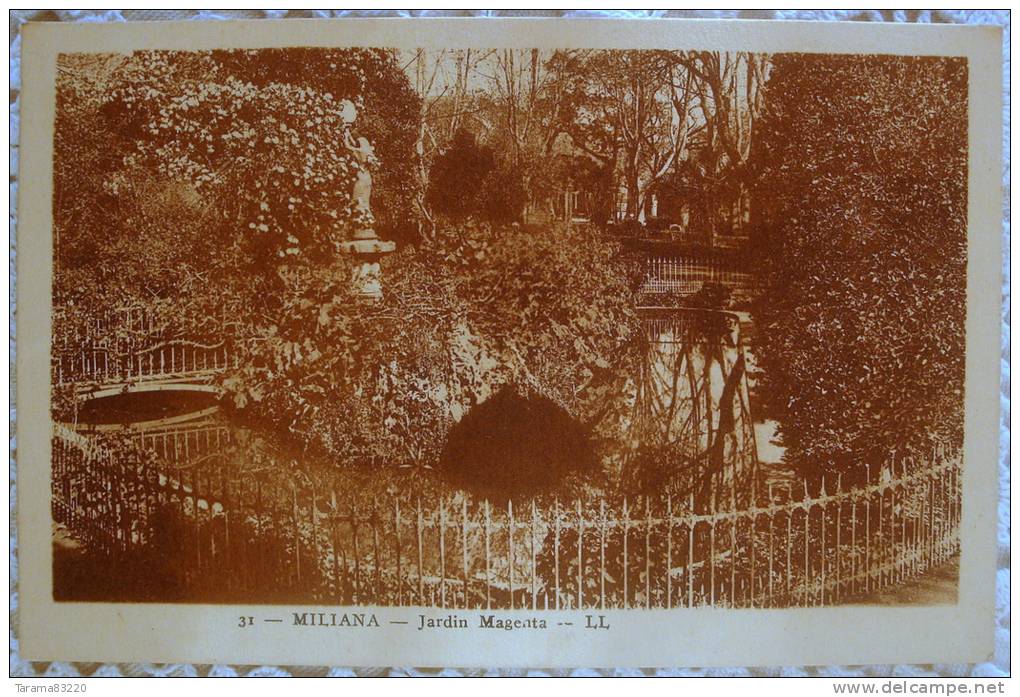 CPA ALGERIE MILIANA JARDIN MAGENTA