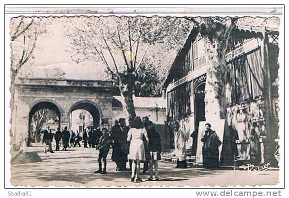 MILIANA  PORTE  DU  ZACCER  CPSM    1Y745