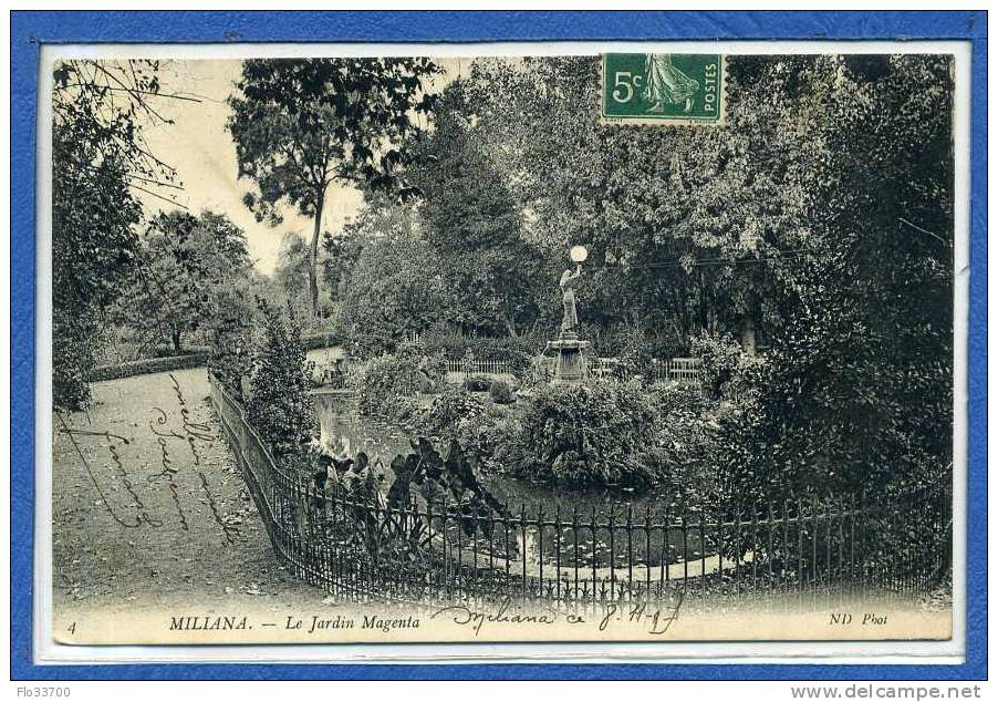 60  4  miliana  le jardin magenta