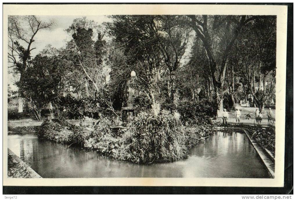 cpsm  20  MILIANA.   Le Jardin Magenta.  L'Ilot