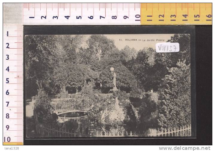 V11137 MILIANA LE JARDIN PUBLIC PARCHI GIARDINI
