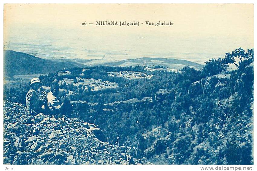 CPA              Miliana     vue générale        animée        D-642