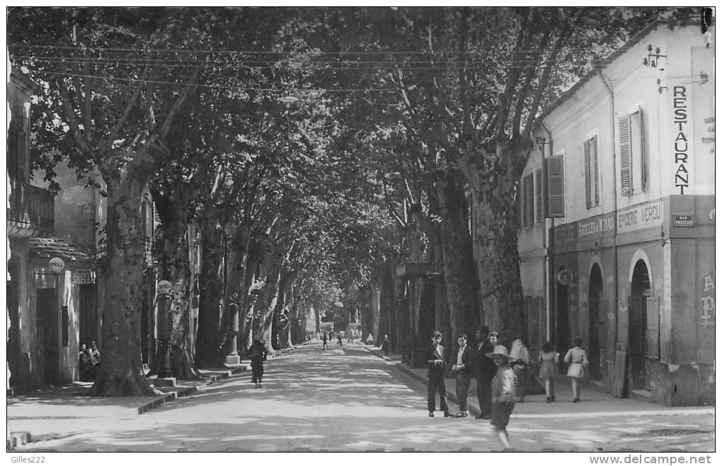 ALGERIE 36 CPSM petit format  MILIANA ALGER la rue saint Paul épicerie Vérou Belle carte animation