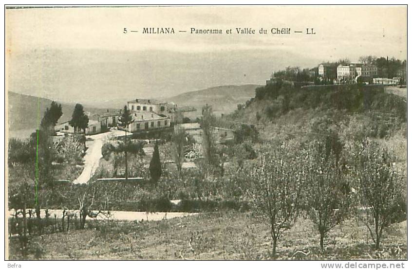 CPA Miliana    Panorama et vallée du Chélif     F-939