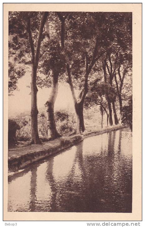 Algérie Miliana - Les belles sources