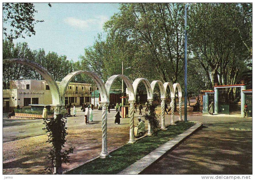 Algerie, Miliana, La Place des Martyrs, circulé oui