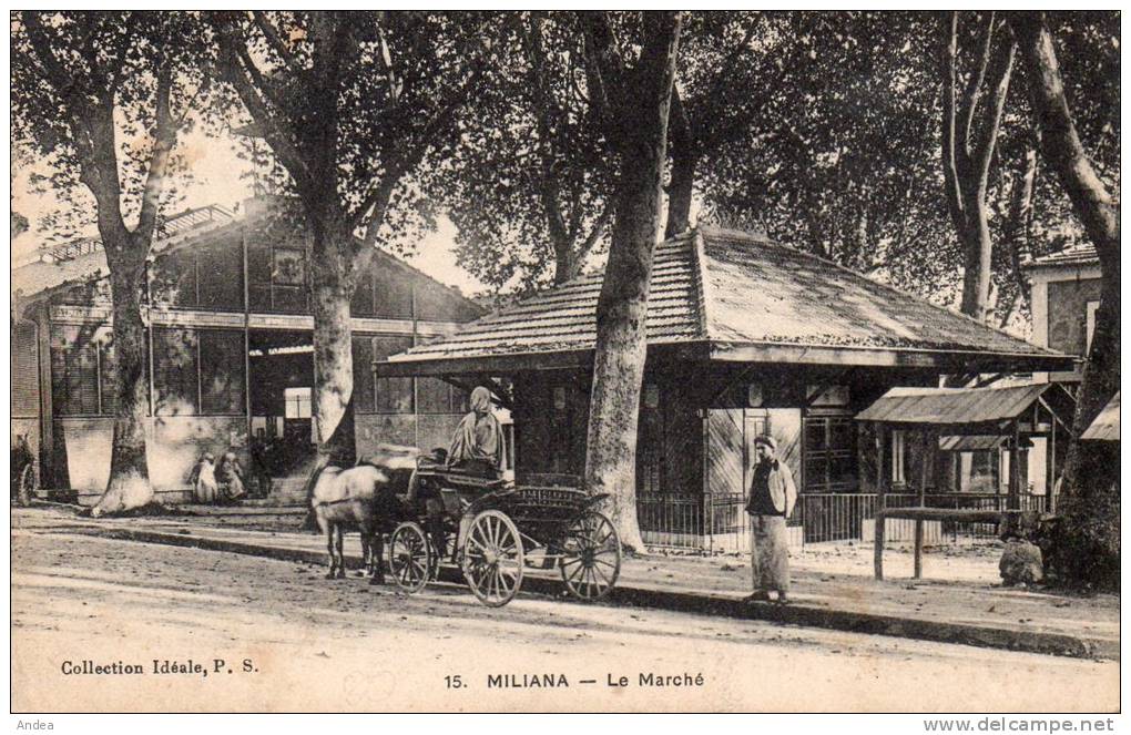 CPA..MILIANA...LE  MARCHE ...PRIX 2,99 �