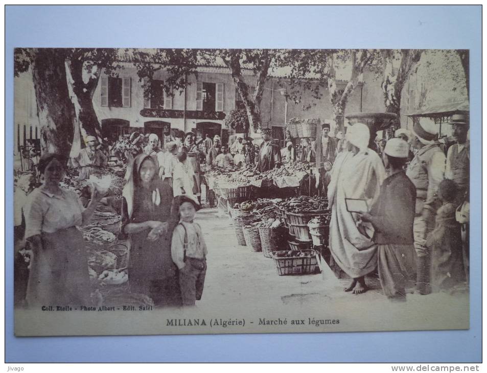 MILIANA  (Algérie)    Marché  aux  LEGUMES
