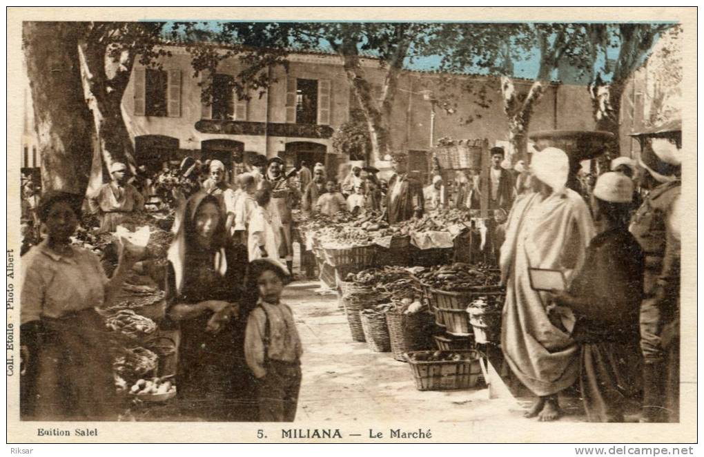 ALGERIE(MILIANA) MARCHE