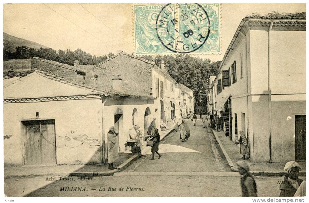 ALGERIE(MILIANA)