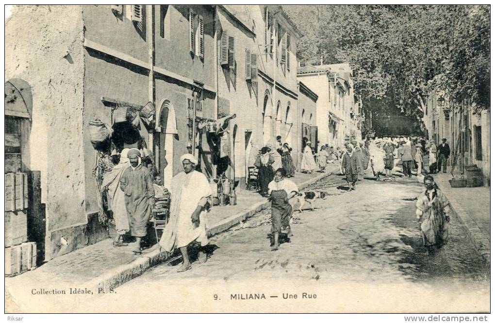ALGERIE(MILIANA)