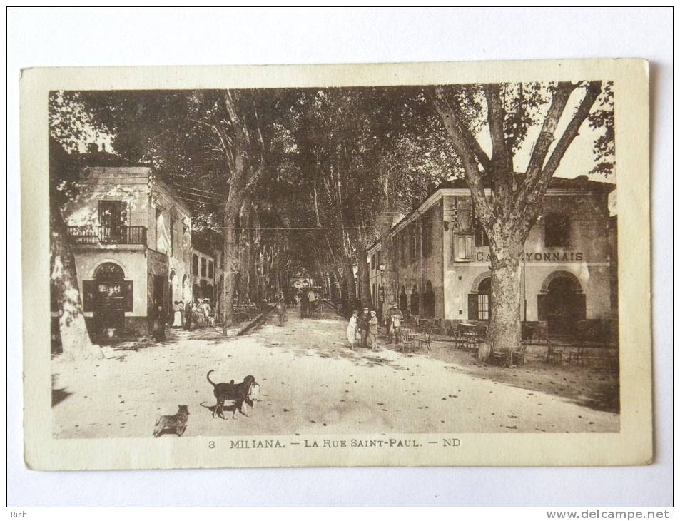 CPA Algerie - MILIANA - La rue Saint Paul -animation