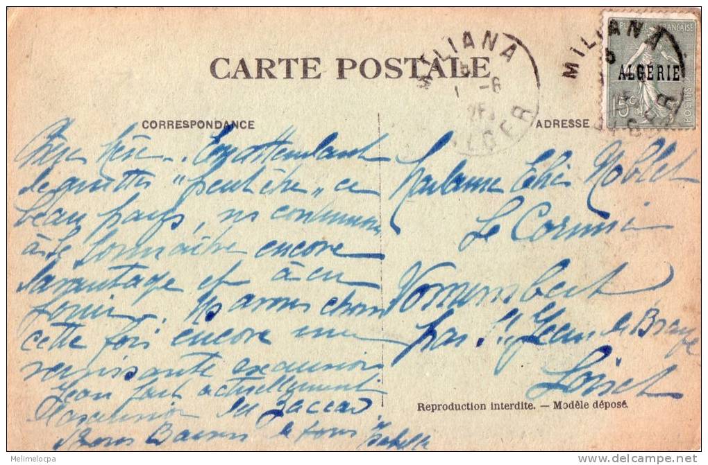 CPA carte postale ancienne AFRIQUE ALGERIE Ain N´SOUR miliana montagne timbre