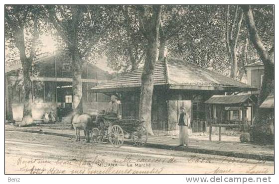 ALGERIE CPA MILIANA LE MARCHE  CHARETTE ANIMATION ECRITE TB