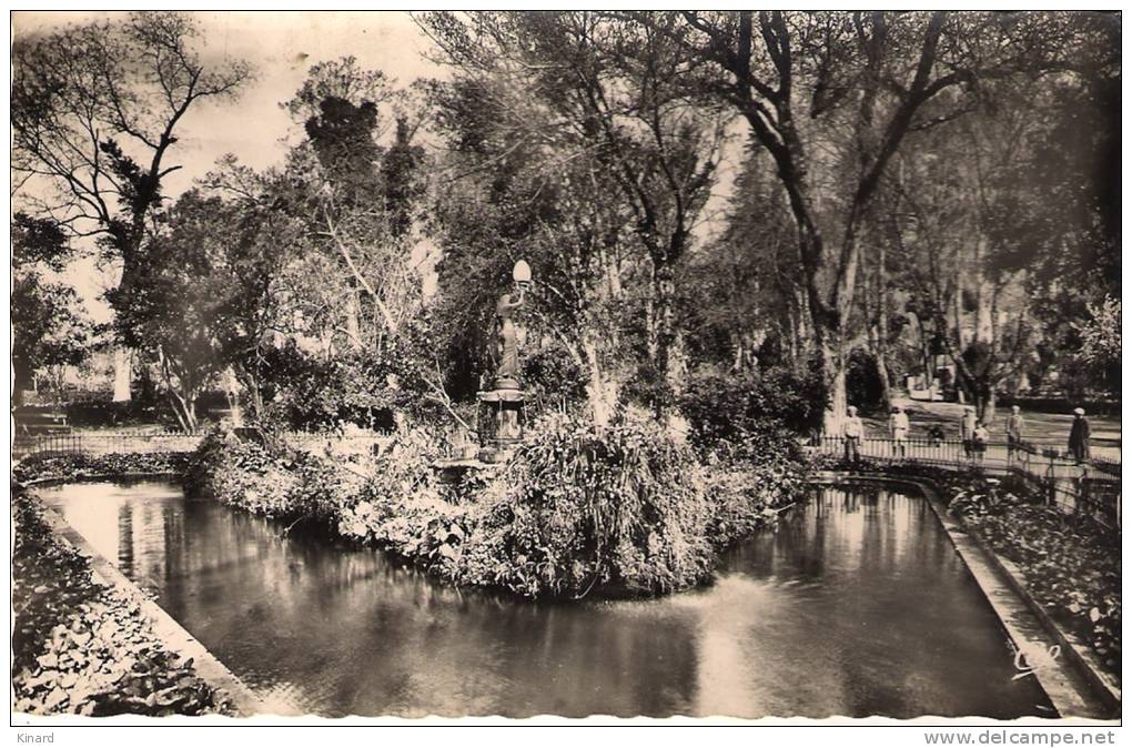 CPA..   MILIANA... JARDIN MAGENTA .   L'ILOT.. ANIME ..BE..