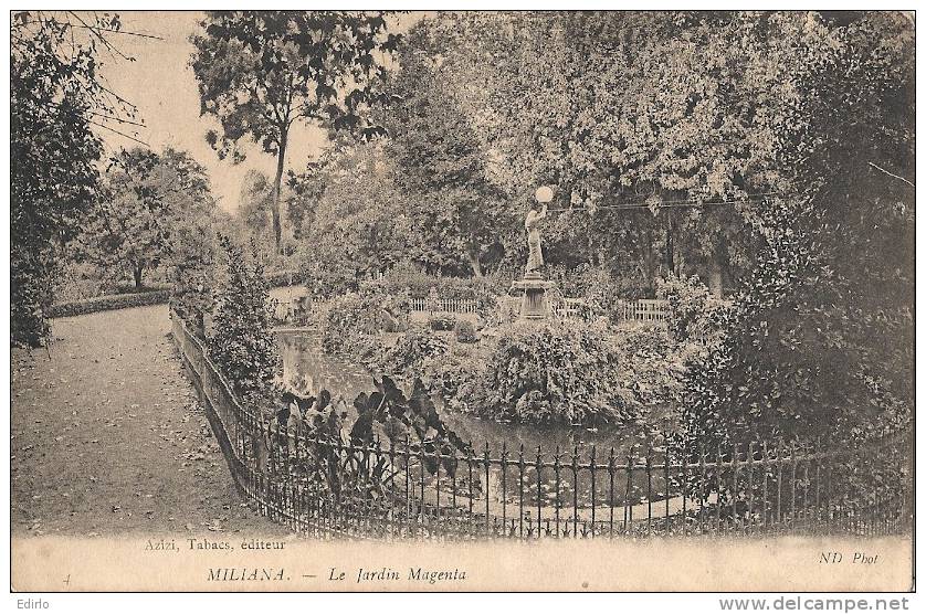 MILIANA  le jardin Magenta - timbrée TB