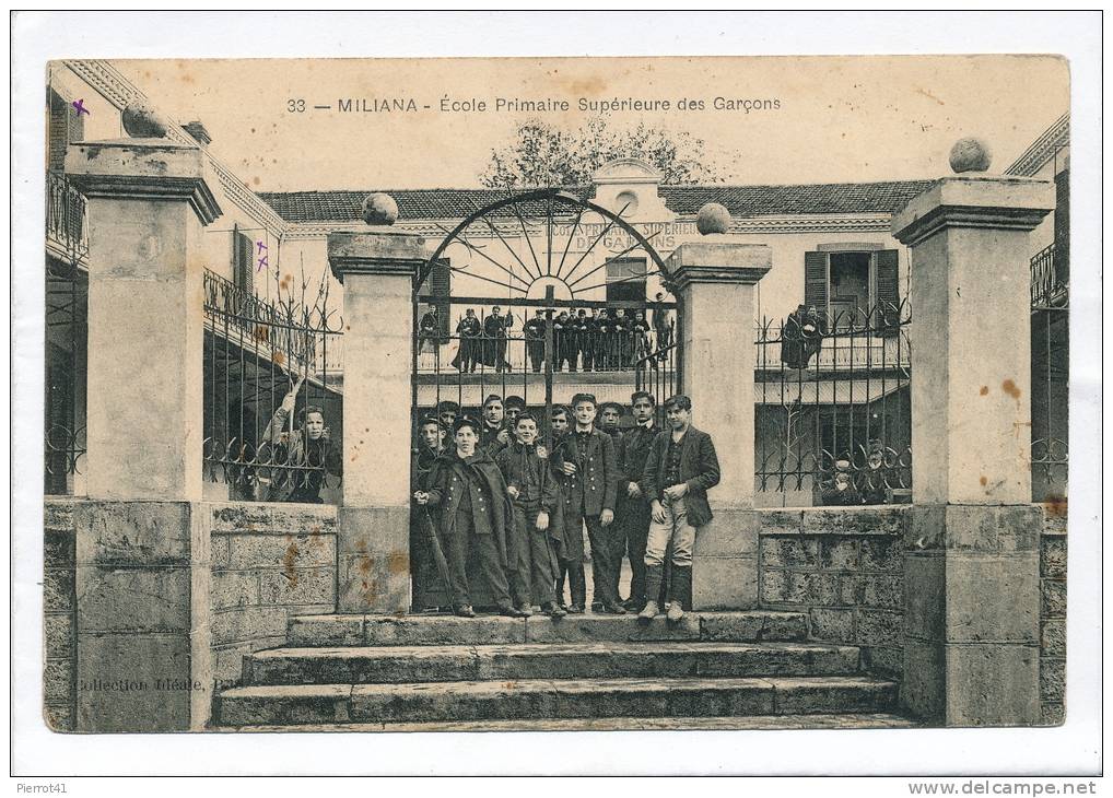 AFRIQUE - ALGERIE - MILIANA - Ecole Primaire Supérieure de Garçons (belle animation)