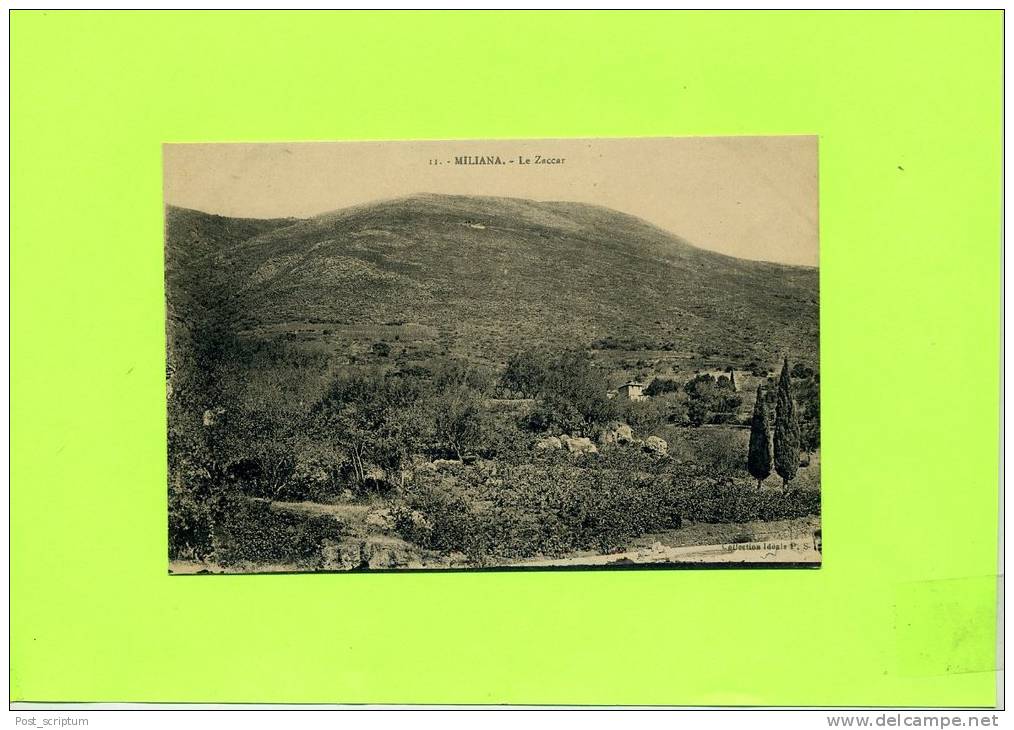 Afrique - Algérie - Miliana - le Zaccar