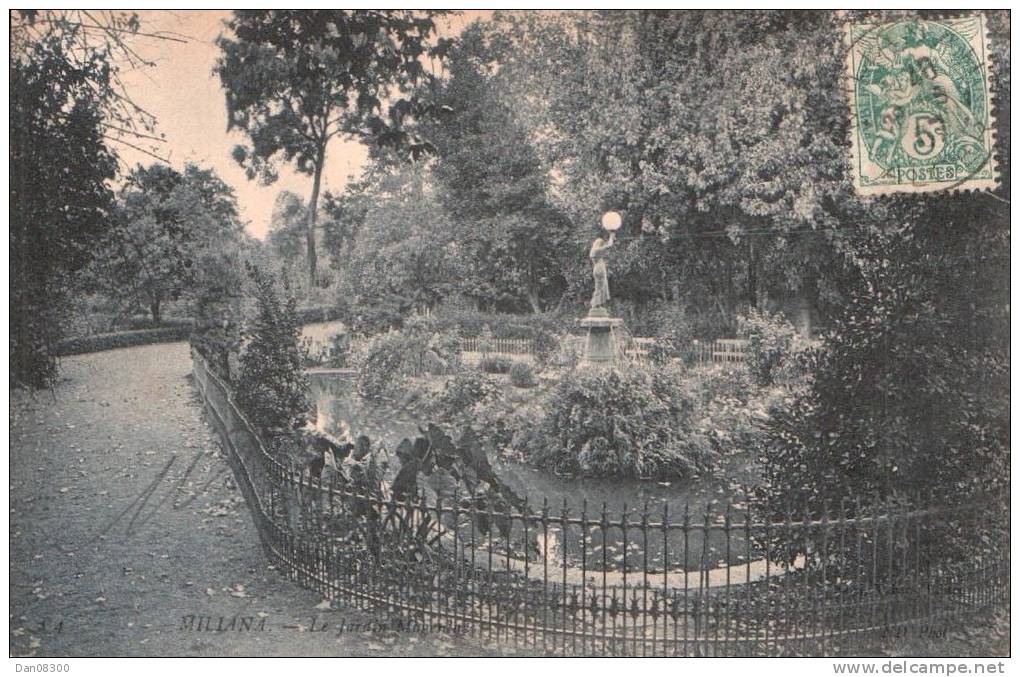 ALGERIE MILIANA LE JARDIN MAGENTA