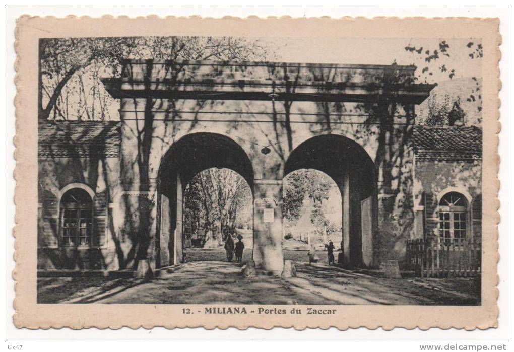 - Algérie. - MILIANA. - Portes du Zaccar. -