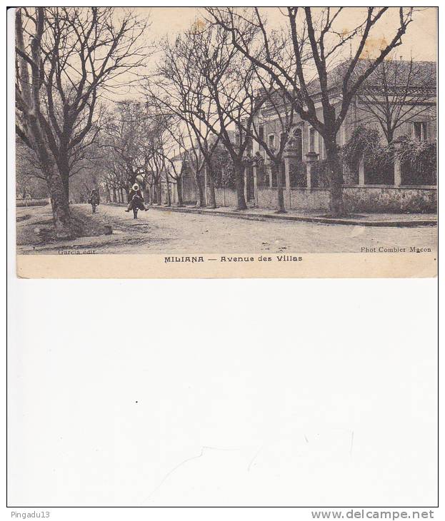 Miliana Avenue des Villas Affranchissement mixte Algéeie Semeuse 5 c et Pasteur 10 c