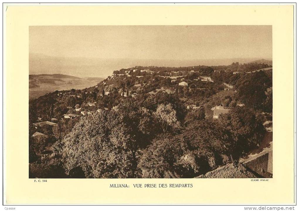 Planche pédagogique ALGERIE MILIANA Vue prise des Remparts ° Librairie de l´Enseignement F. C. 544