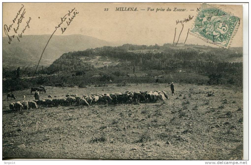 CPA MILIANA-VUE PRISE DU ZACCAR