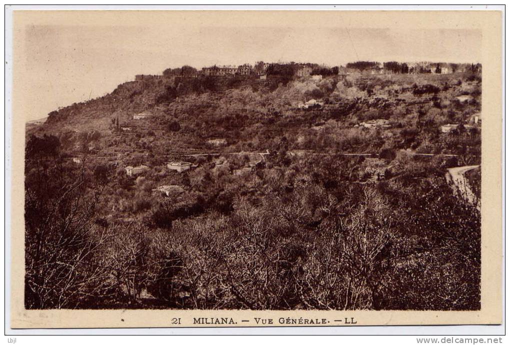 MILIANA , Vue générale