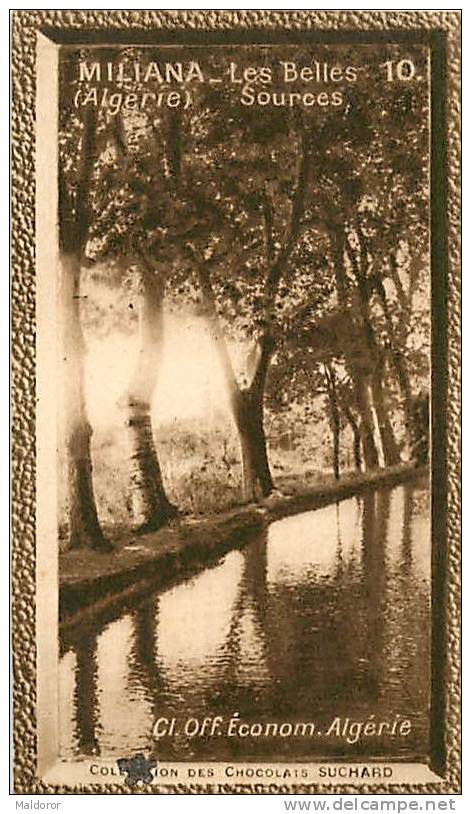 S2  ALGERIE  MILIANA   10 x 6 cm  (cliché de O.E.. )