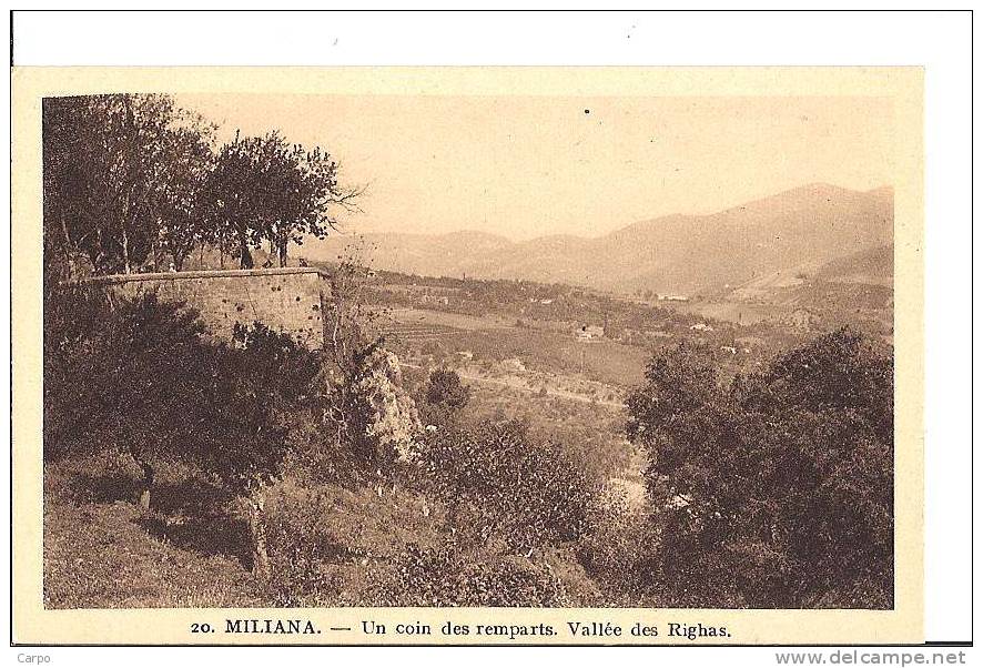 MILIANA - Un cion des remparts. Vallée des Righas.