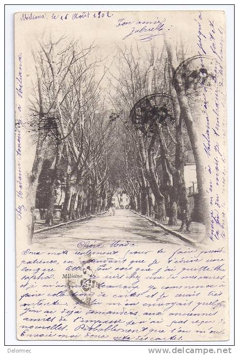 CPA Miliana Algérie écrite timbrée 1902 dos non divisé