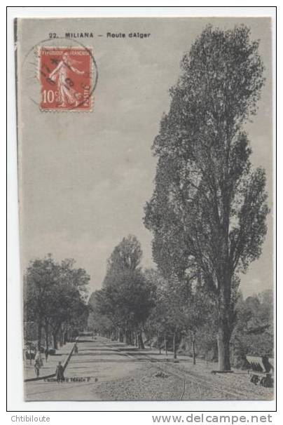 AFRIQUE  /  ALGERIE   /    MILIANA  / VUE GENERALE     CPA  9X14
