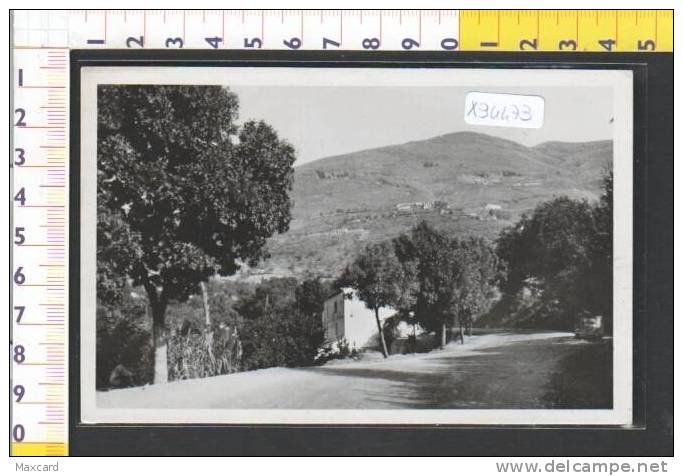 X94473 ALGERIA MILIANA ROUTE D'AFFREVILLE