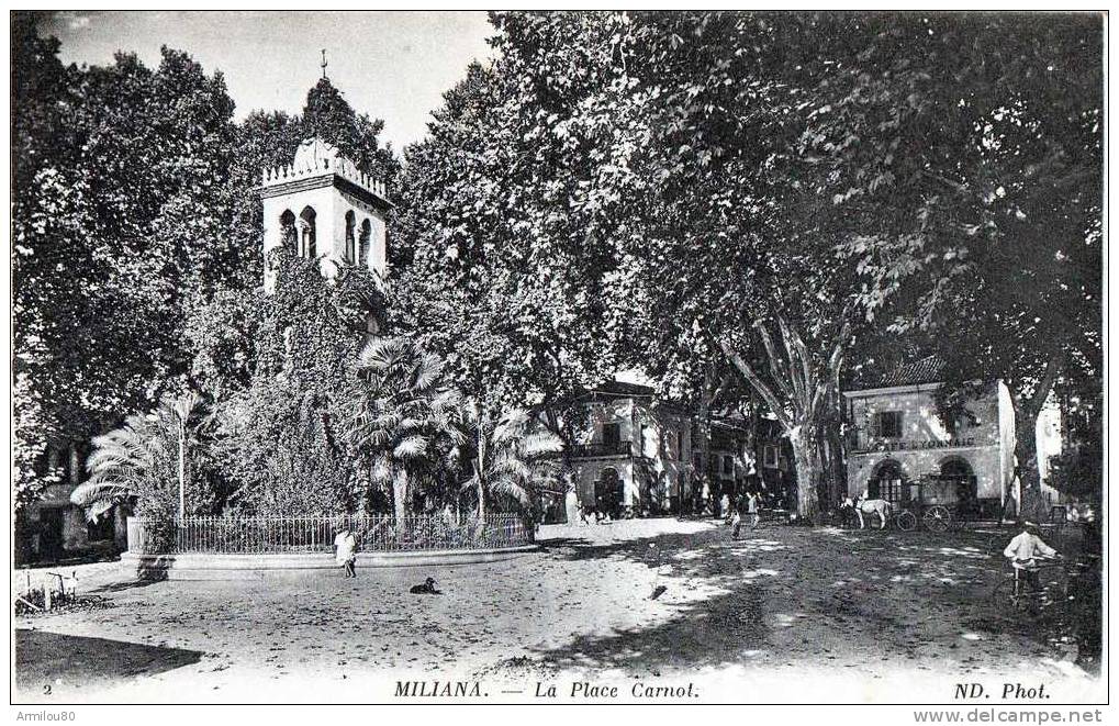 N°10B MILIANA LA PLACE CARNOT
