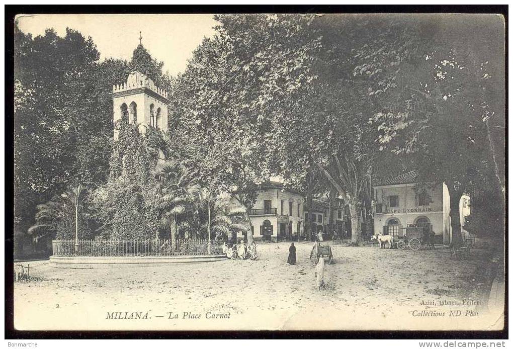 1905 MILIANA - LA PLACE CARNOT ( CAFE LYONNAIS )