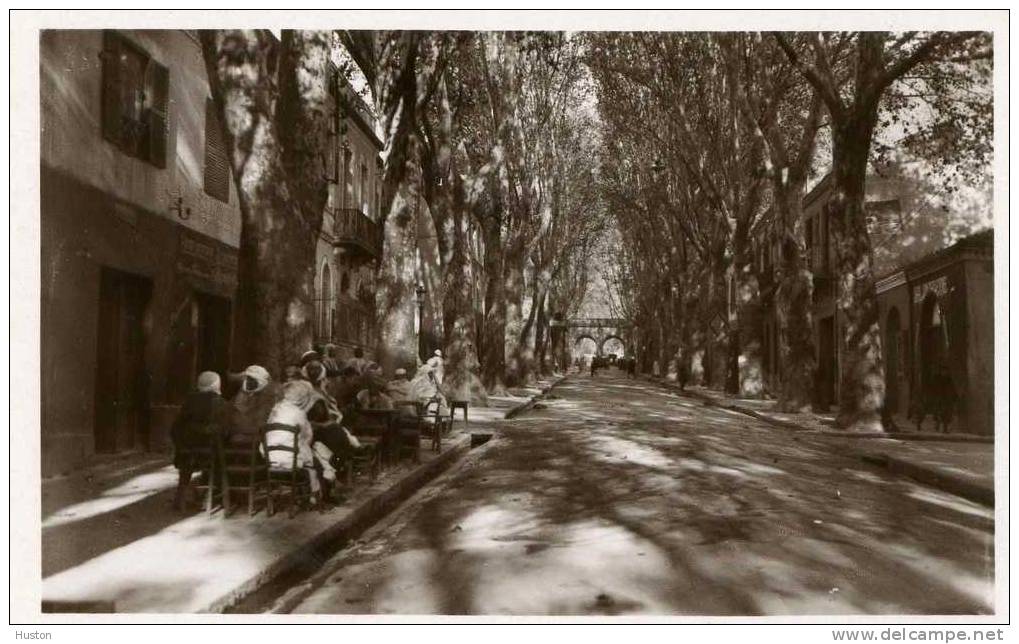 MILIANA - Rue Saint-Paul  -  CARTE PHOTO