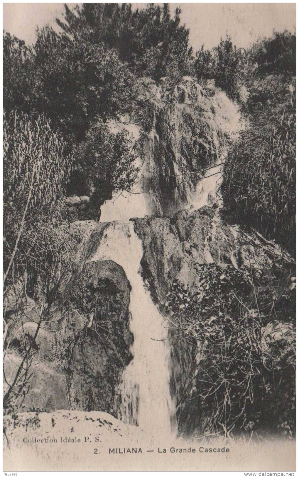 CPA MILIANA LA GRANDE CASCADE