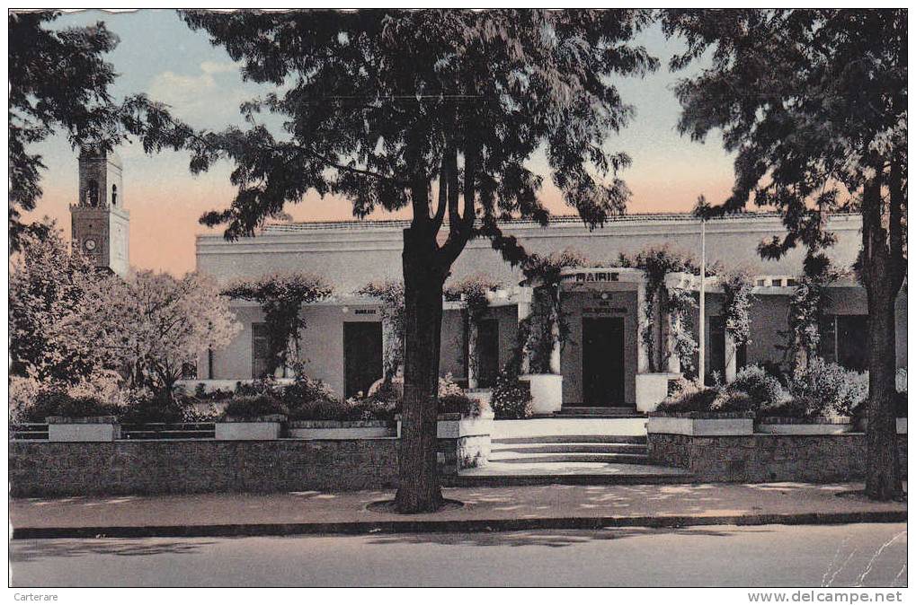 Algérie,afrique du nord,AFFREVILLE,la mairie de l´époque,salle des délibérations,KHEMIS MILIANA,rare