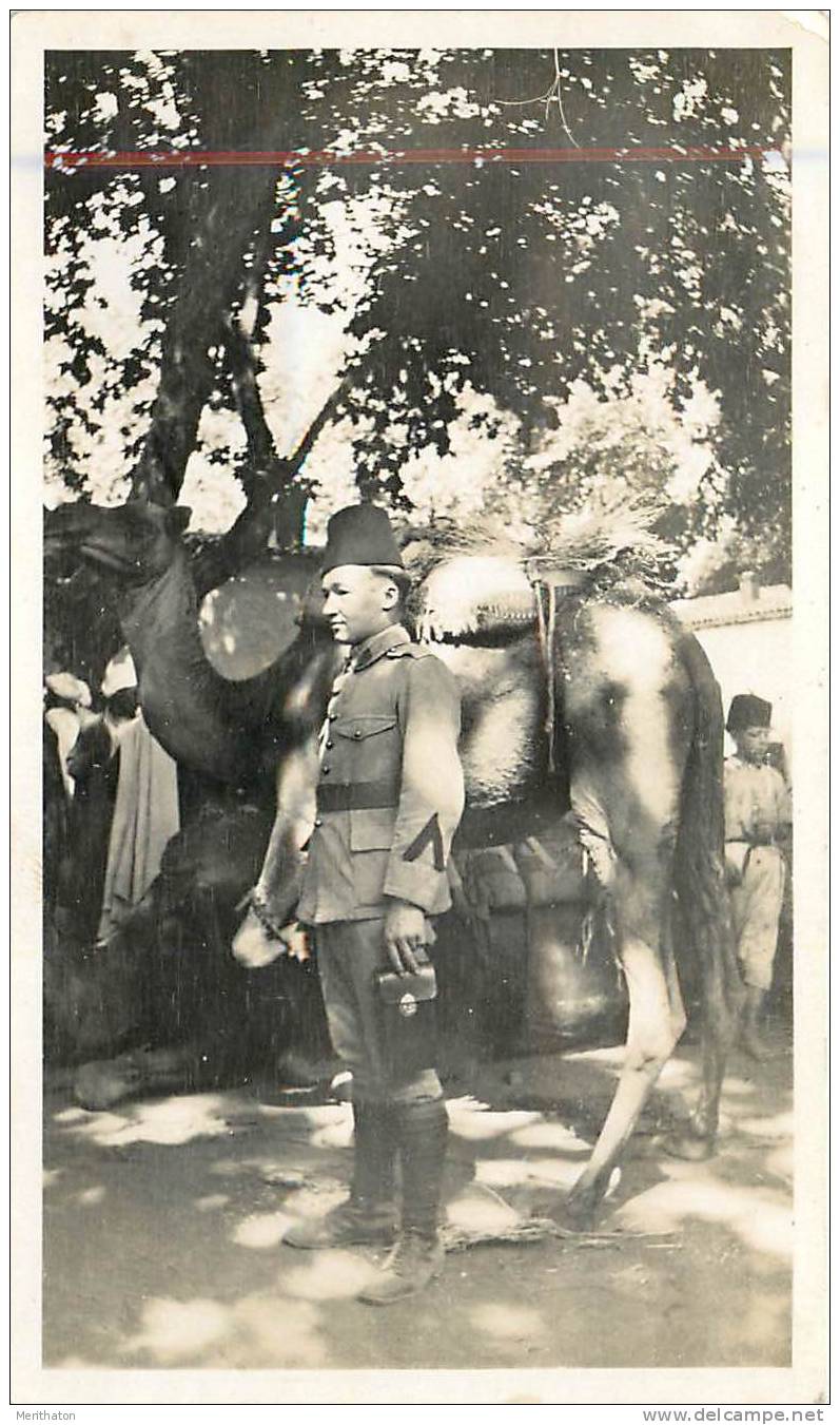 MILITARIA  militaire photo format 110x65  algérie  miliana le marché 1933 scans