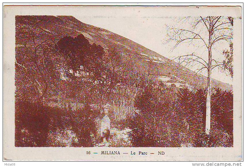 MILIANA . LE PARC.