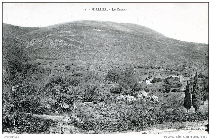 Miliana - le Zaccar